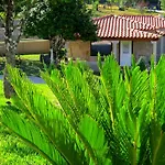 Quinta Do Coto Moinho 民宿 *