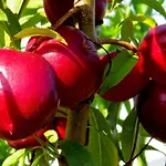 Δωμάτια σε οικογενειακή κατοικία Quinta Do Coto Moinho *