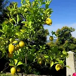Quinta Do Coto Moinho