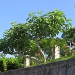 Quinta Do Coto Moinho * 阿尔库什迪瓦尔德维什