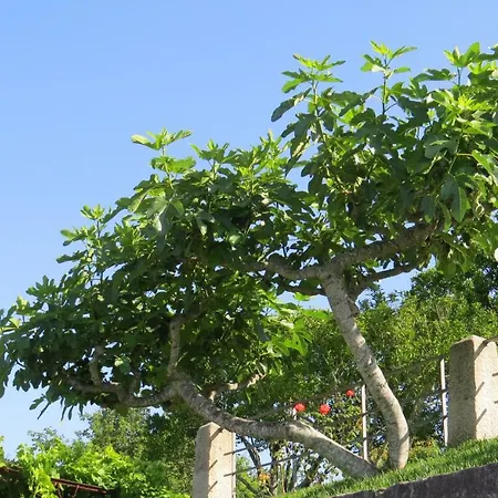 Homestay Quinta Do Coto Moinho Arcos de Valdevez