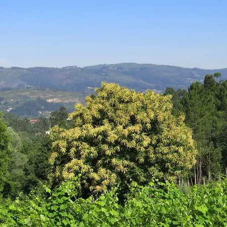 Quinta Do Coto Moinho Arcos de Valdevez