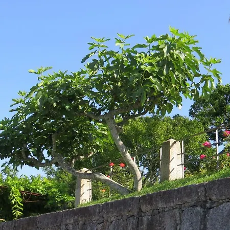 Quinta Do Coto Moinho * Arcos de Valdevez