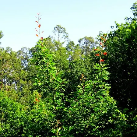 Quinta Do Coto Moinho Homestay